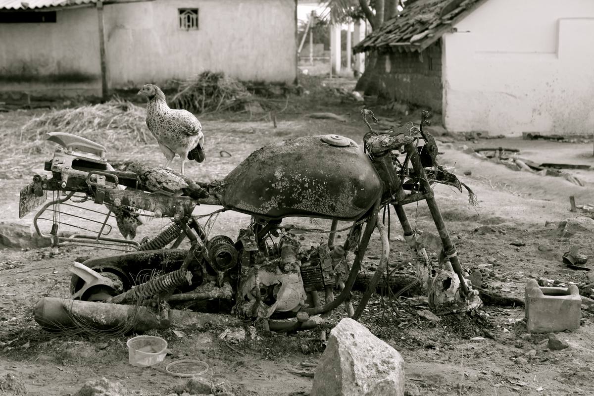 A burnt-out motorcycle with a hen perched on it, Dharmapuri, 2012