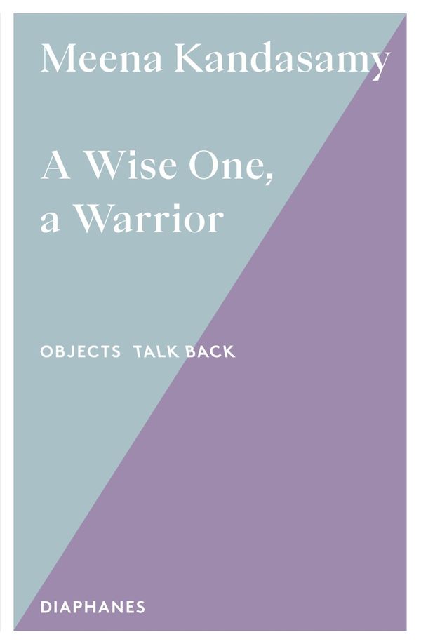 A Wise One, A Warrior cover